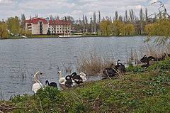 ペトロフスキー地区Petrovsky Raion(Petrovsky District)/(Петровський район)の街並み